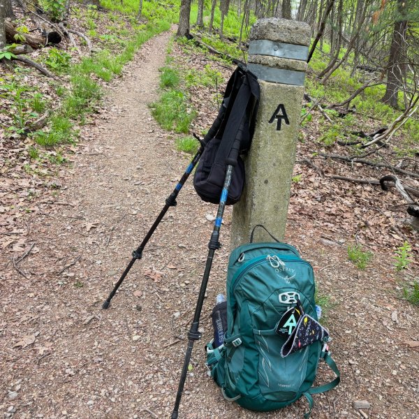 REI Co-op Flash Carbon Compact Trekking Poles - Pair | REI Co-op