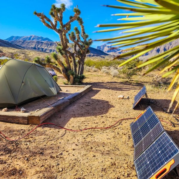 BioLite SolarPanel 10+ 2.0 With Onboard Battery | REI Co-op
