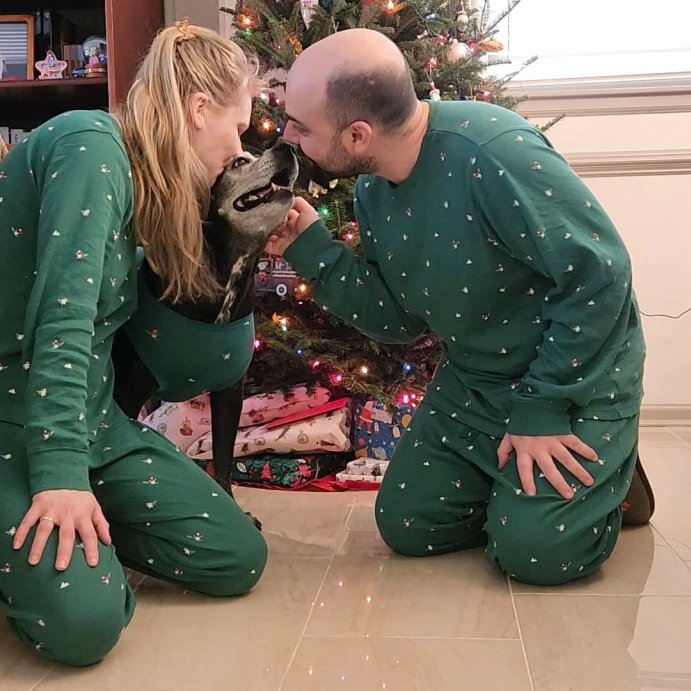 user image by @beingmorgananne, Polar Bear Print Jersey Holiday Matching Family Dog and Cat Pajamas - Wondershop™ Green