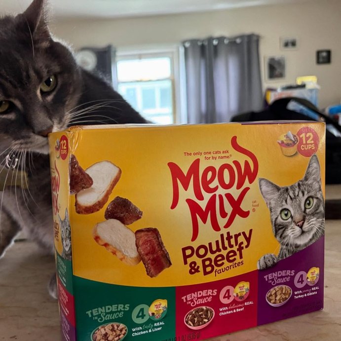 user image by @soul_searcher9, Meow Mix Tender Favorites Liver Turkey Chicken and Beef Flavor Wet Cat Food - 33oz