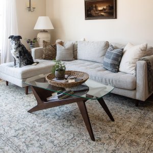 Marcio Display Coffee Table | Modern Living Room Furniture | West Elm