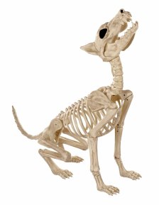Shop Howling Skeleton Wolf Plastic Halloween Decoration, 27-in and more