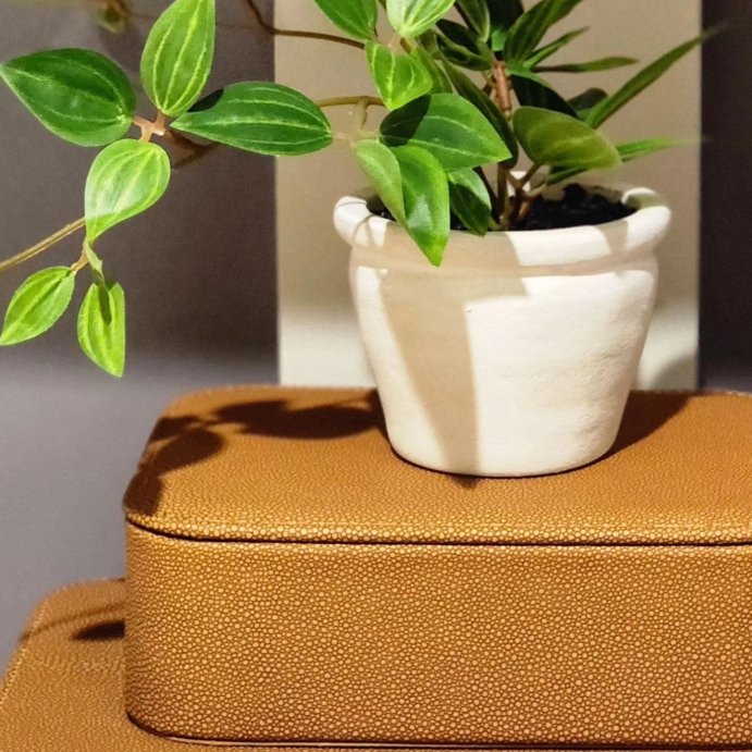 user image by @theholubhouse, Shagreen Box with Lid - Threshold™ designed with Studio McGee