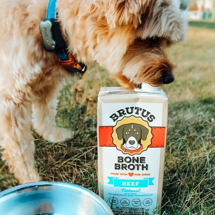 user image by @charliebrown.themorkie, Brutus Bone Broth Hip &#38; Joint Formula Wet Dog Food - Supplement - Beef - 32oz