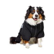 Shop Petco Pet Snowsuit, Black and more