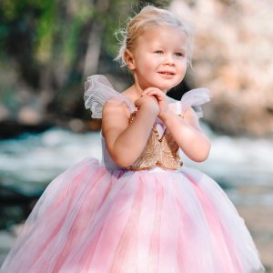 Lavender Butterfly Fairy Halloween Costume