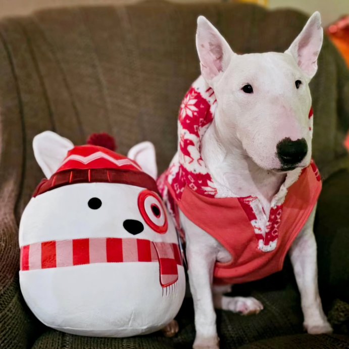 user image by @ashersocrates, Squishmallows 12&#34; Target Bullseye Plush