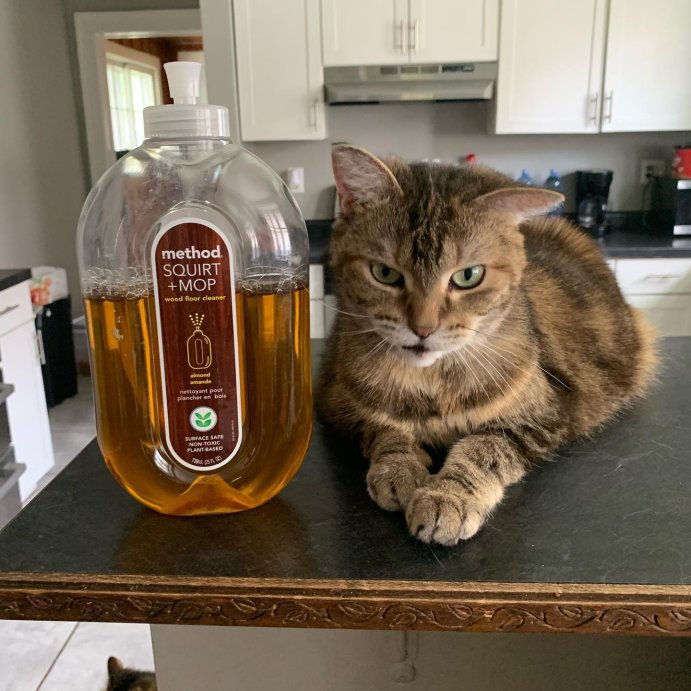 user image by @blanketthecat, Method Almond Cleaning Products Squirt + Mop Wood Floor Cleaner - 25 fl oz