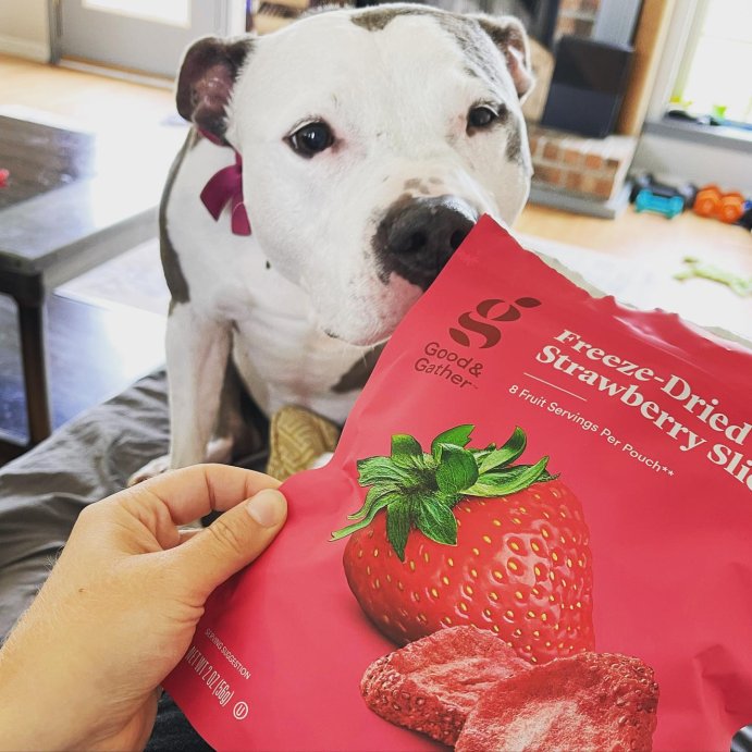 user image by @samfhowarth95, Freeze Dried Strawberry Slices - 2oz - Good & Gather&#8482;