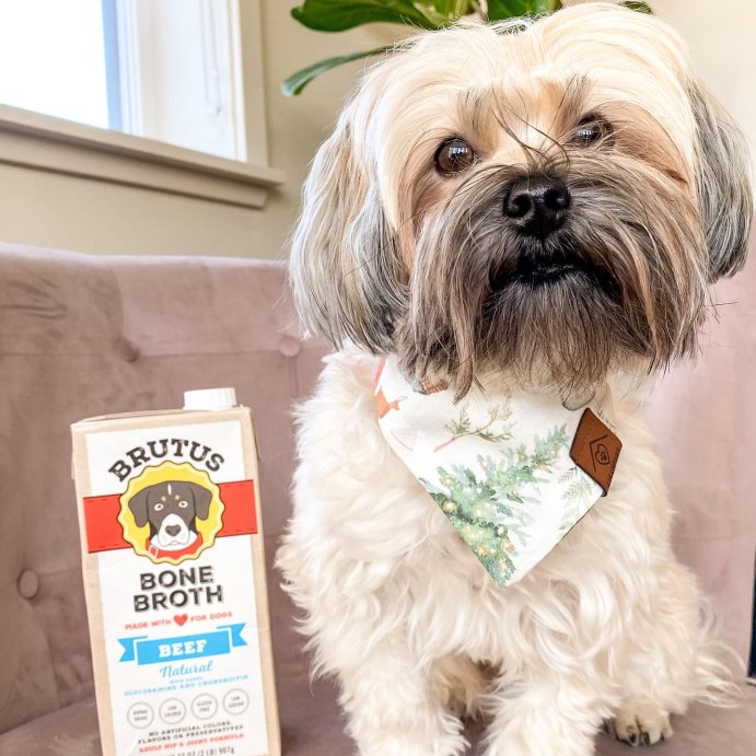 user image by @floofy.ches, Brutus Bone Broth Hip &#38; Joint Formula Wet Dog Food - Supplement - Beef - 32oz