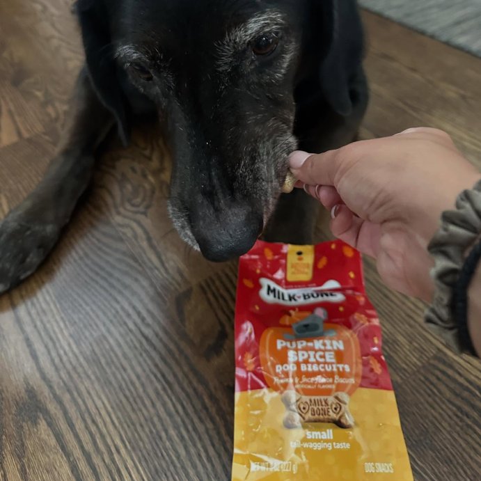 user image by @eleni2424, Milk-Bone Halloween Pumpkin Spiced Flavor Crunchy Dog Treats - 8oz