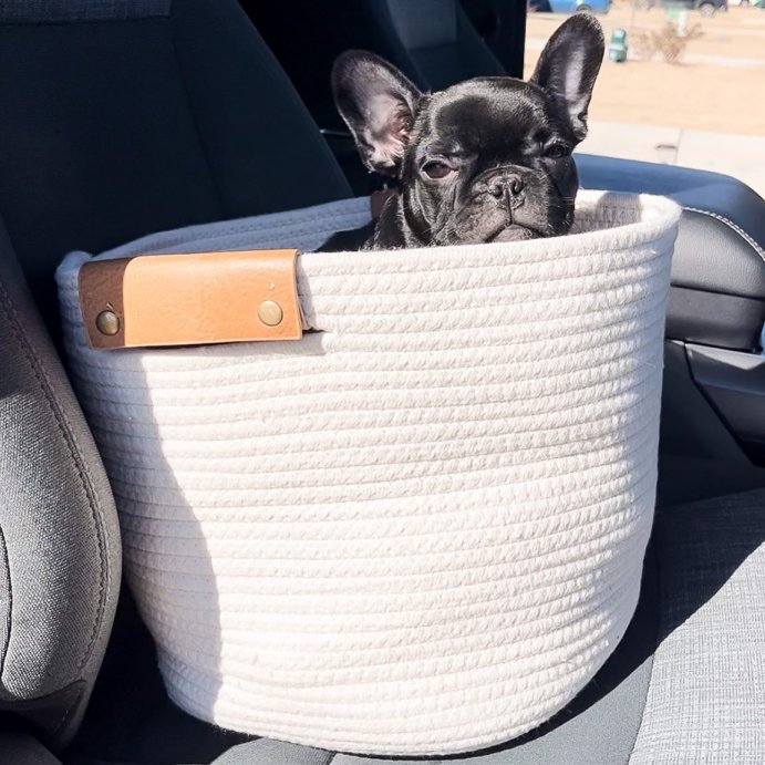 user image by @sirwinstonsgoodlife, 13" Decorative Coiled Rope Basket - Brightroom™
