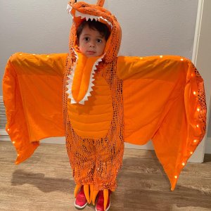 Light-Up Pterodactyl Halloween Costume
