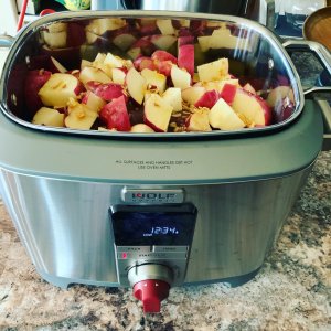 Wolf Gourmet Multi-Function Cooker Review