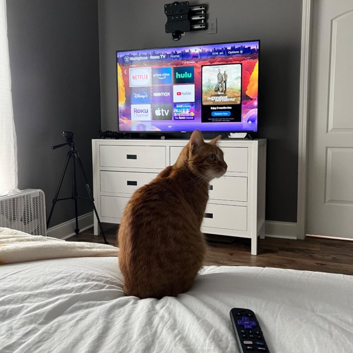user image by @abram.engle, Westinghouse 4K Ultra HD Smart Roku TV with HDR