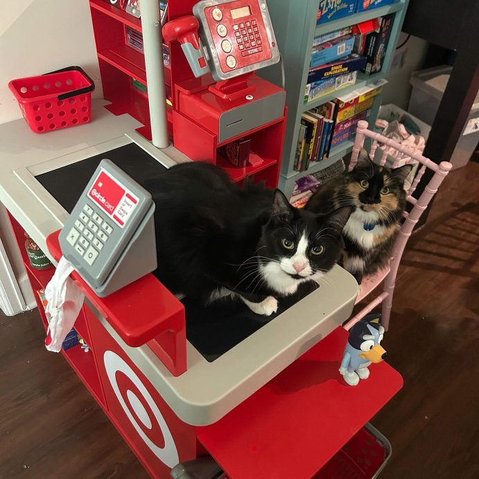 user image by @_yui_the_cat_, Target Toy Checklane: Pretend Shopping Accessories, Play Money, Toy Cash Register, Batteries Required, Ages 3+