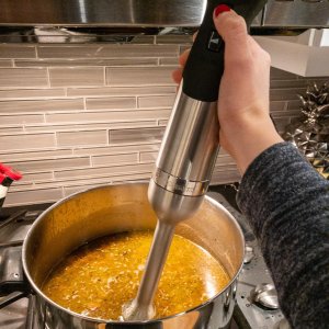 Williams Sonoma Vitamix Immersion Blender Whisk Attachment