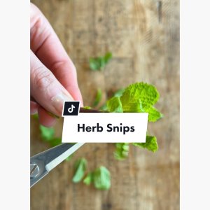 Williams Sonoma Herb Scissors