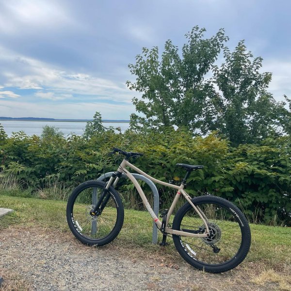 Rei drt 1.1 upgrades deals