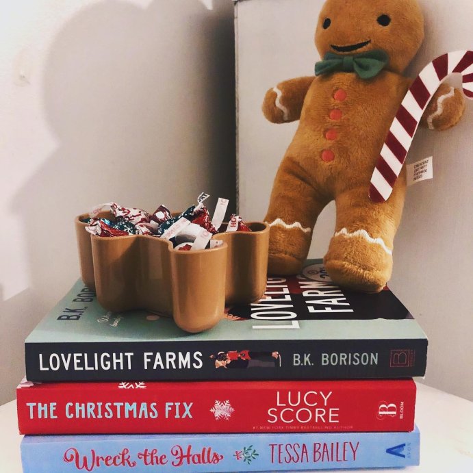 user image by @the.book.that.just.saved.them, Lovelight Farms - by B.K. Borison (Paperback)