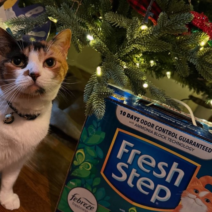 user image by @missmooniefloof, Fresh Step Febreze and Gain Cat Litter - 25lb