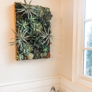 Faux Succulent Wall Art Pottery Barn