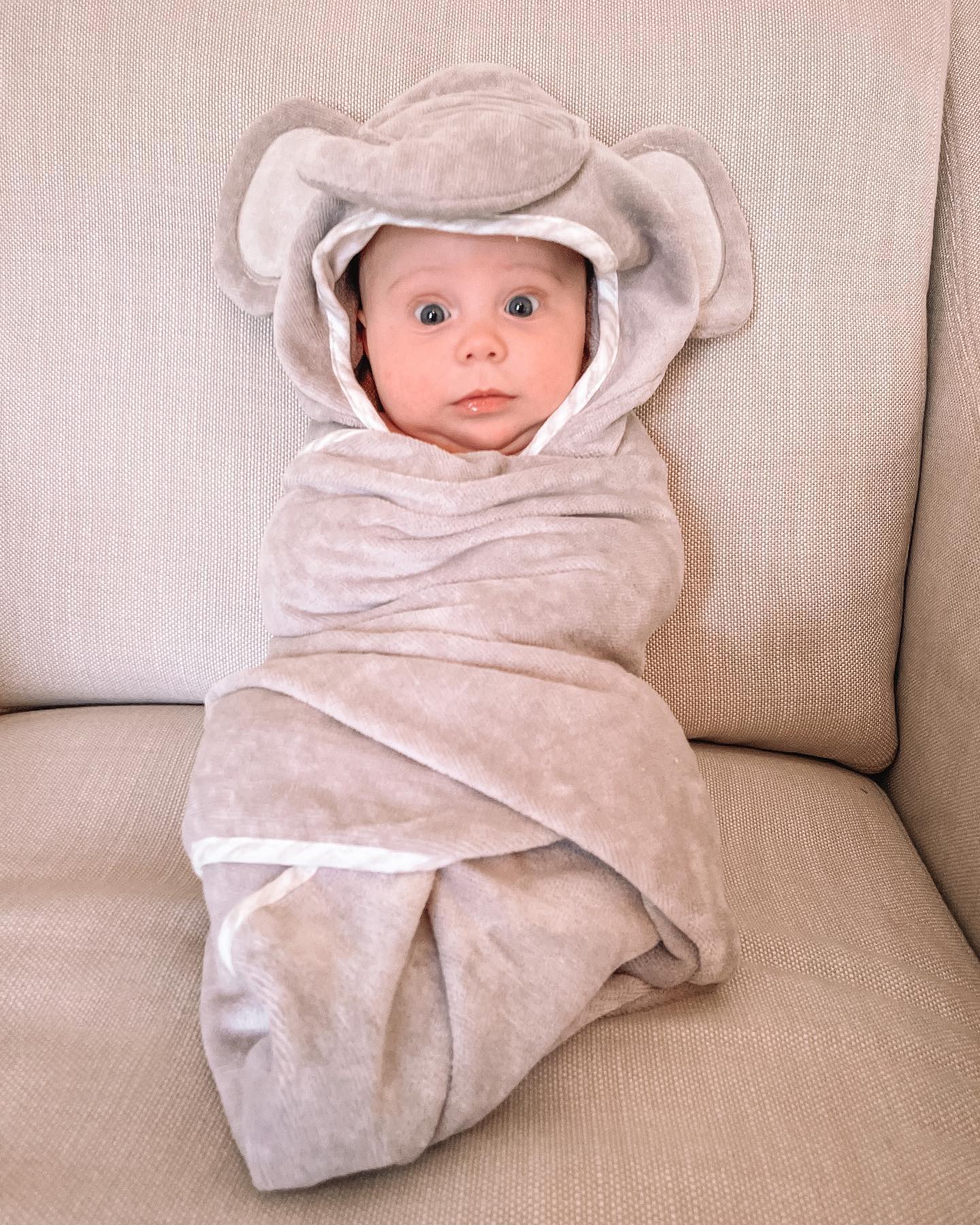 TargetStyle alexa.anglin Target Finds