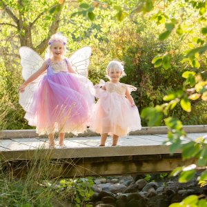 Lavender Butterfly Fairy Halloween Costume