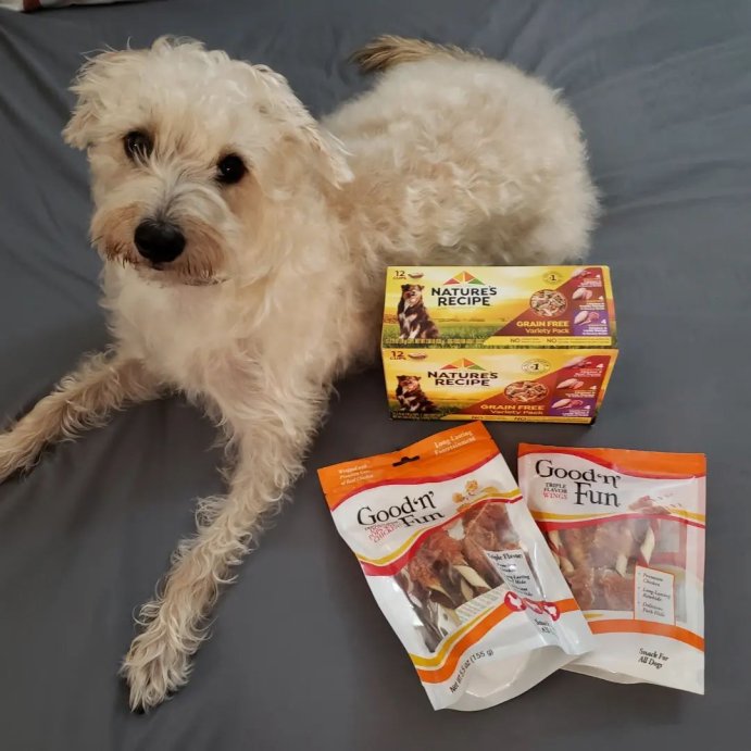 user image by @linusbubz808, Nature&#39;s Recipe Grain Free Chicken, Duck &#38; Venison Wet Dog Food - 2.75oz/12ct Variety Pack