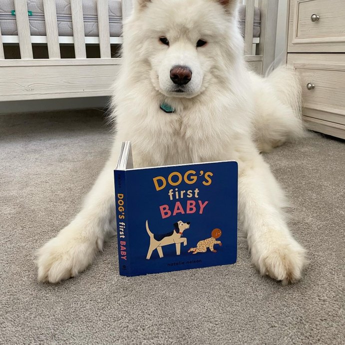 user image by @maple_thesamoyed, Dog's First Baby - (Dog and Cat's First) by  Natalie Nelson (Board Book)