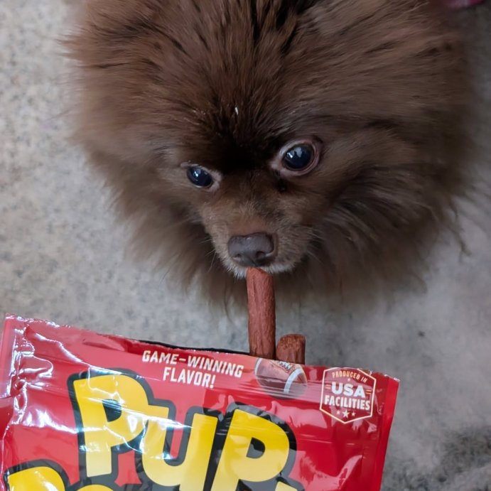 user image by @genesis.artworks, Pup-Peroni Treats Peroni Beef Flavor Chewy Dog Treats