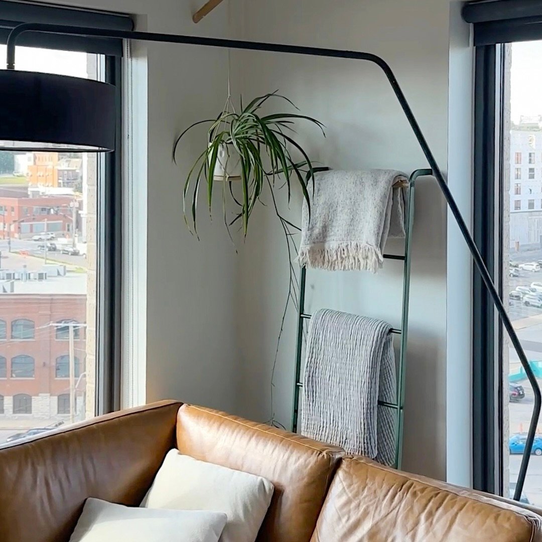 Forest Green Leaning Ladder shown in Sam Small's modern home with leather couch