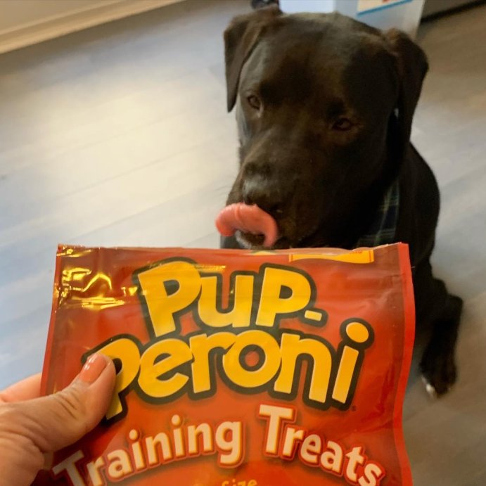 user image by @fabz_n_davos, Pup-Peroni Treats Peroni Beef Flavor Training Chewy Dog Treats - 5.6oz
