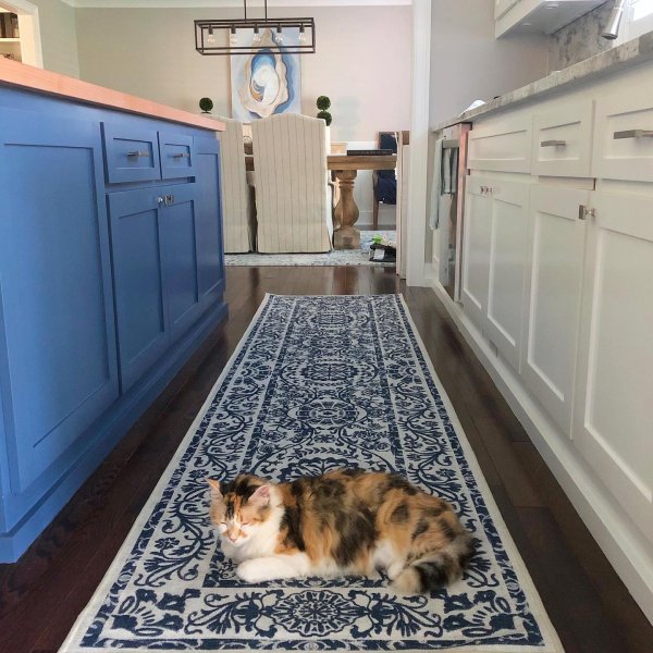 Cat Rugs Buy A Cat Rug Or Cat Area Rug Cat Proof Rugs By Ruggable