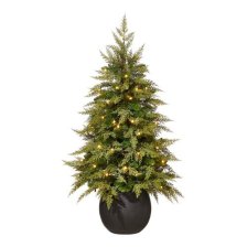 Shop CANVAS Pre-Lit Indoor Cypress Potted Christmas Tree, 70 LED Lights, 4-ft and more
