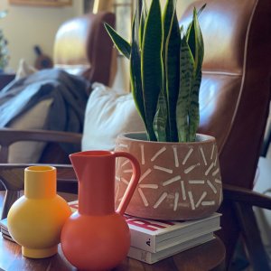 Raawii Strom Ceramic Collection | West Elm
