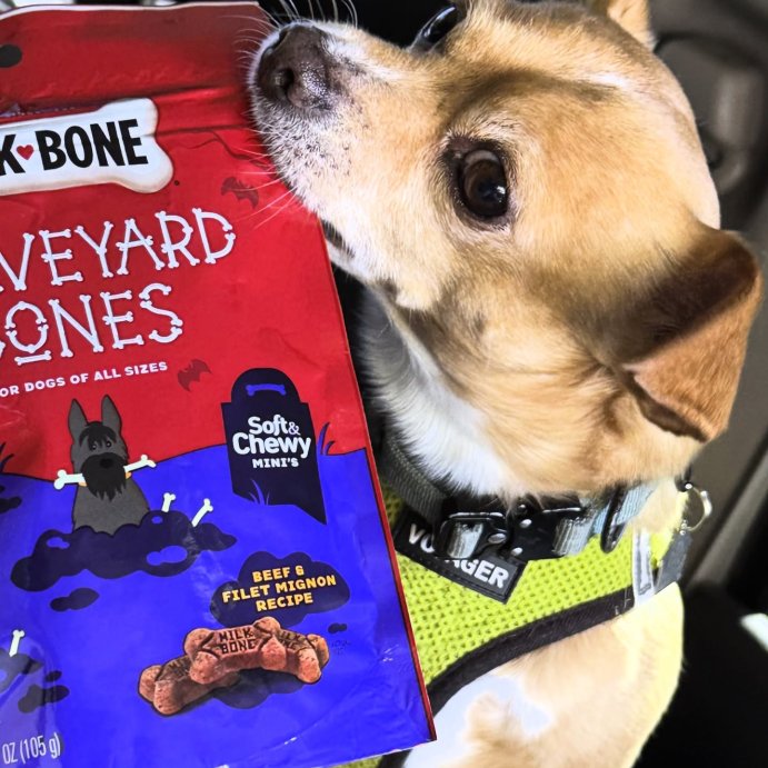 user image by @stefagt, Milk-Bone Graveyard Soft Bones and Chewy Dog Treats with Beef Flavor - 3.7oz