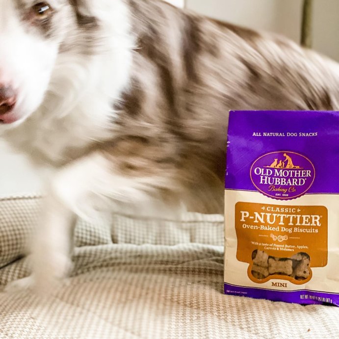 user image by @gals.best.friend, Old Mother Hubbard by Wellness Classic Crunchy P-Nuttier Biscuits Mini Oven Baked with Carrot, Apple and Chicken Flavor Dog Treats