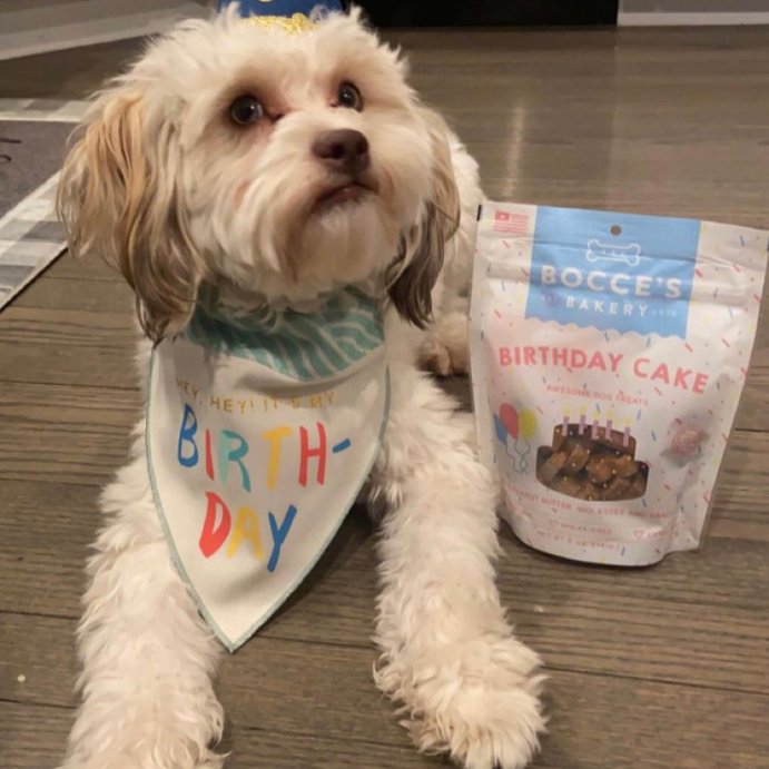 user image by @bentley__the__shihpoo, Bocce&#39;s Bakery Birthday Cake with Peanut Butter, Carob and Vanilla Flavors Dog Treats - 5oz
