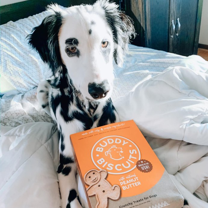 user image by @jaggerxstone, Buddy Biscuits Oven Baked Crunchy Peanut Butter Dog Treats