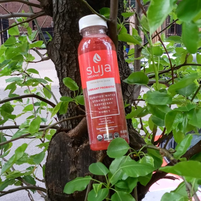 user image by @swervy_ryye, Suja Organic Vibrant Probiotic Cold Pressed Juice Drink - 12 fl oz Bottle