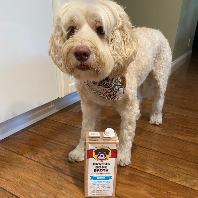 user image by @doodlejedi, Brutus Bone Broth Hip &#38; Joint Formula Wet Dog Food - Supplement - Beef - 32oz