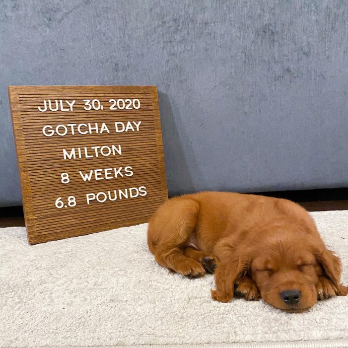 user image by @milton.the.mellow.dood, 14&#34;x 14&#34; Wood Letter Board Brown - Threshold&#8482;: MDF Traditional Typography Wall Sign Panel, No Battery Required