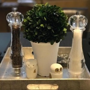 Williams Sonoma Traditional Acrylic Salt & Pepper Mills