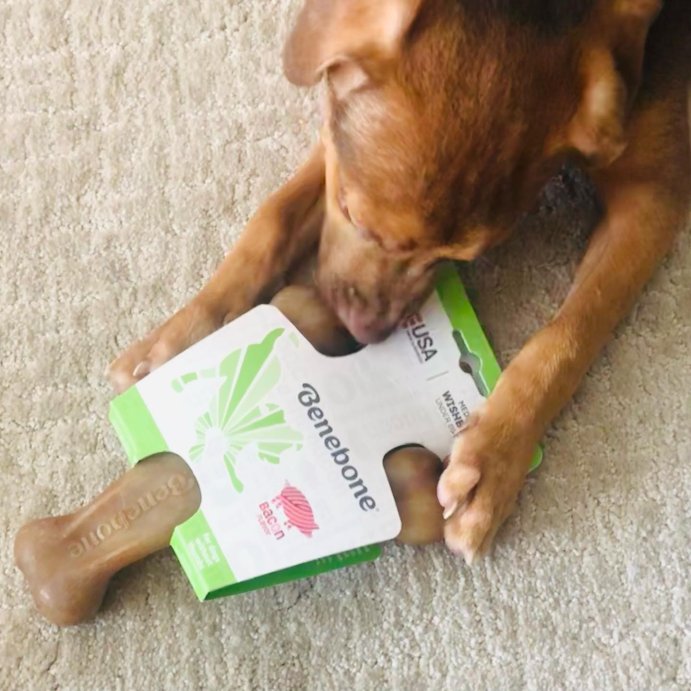 user image by @misterzambam, Benebone Wishbone Dog Chew Toy - Bacon