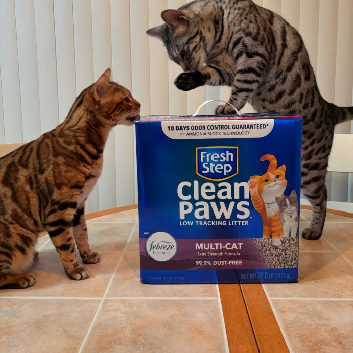 user image by @cricketandenzo, Fresh Step Clean Paws Multi-Cat with the Power of Febreze Scented Clumping Cat Litter - 22.5lbs