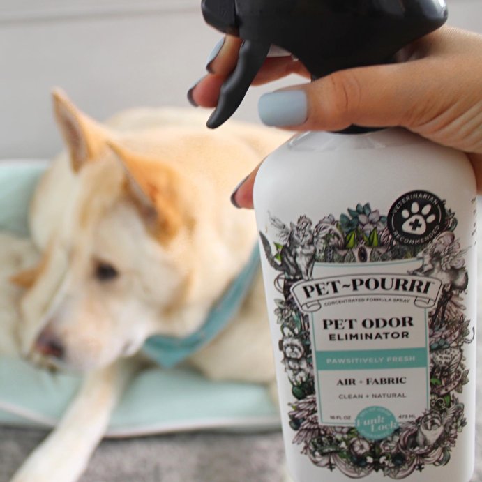 user image by @tres.argelie, Poo-Pourri Pet Odor Refresher Pawsitivly Fresh Scented Air Freshener - 16 fl oz