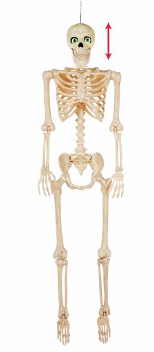 Shop Talking Bonez Light Up Eyes Skeleton, Battery Powe and more