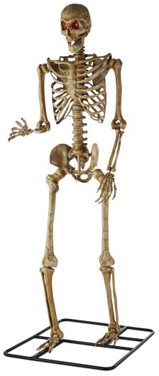 Shop For Living Battery Powered Skeleton with LED Eyes, 10-ft and more