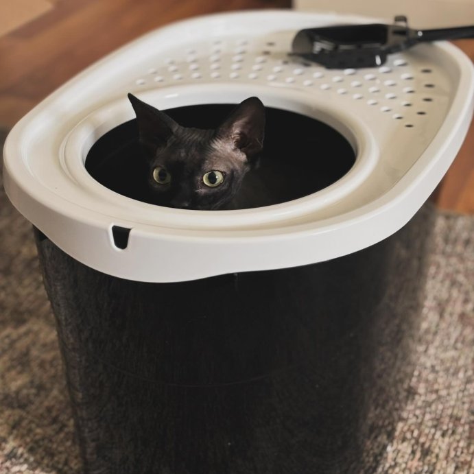 user image by @clee0910, IRIS USA Top Entry Cat Litter Box with Litter Catching Lid, Privacy Walls and Scoop, Cat Pan